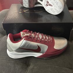 Kobe Potro Merion Aces