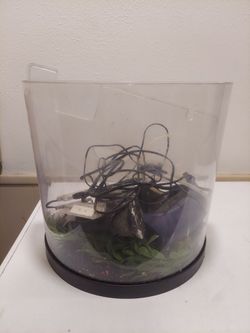 Clear Plastic Fish Tank