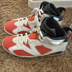 Jordan 10 Retro Gatorade