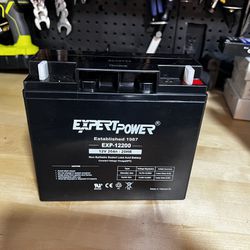 ExpertPower 12 Volt 20 Ah EXP12200 Rechargeable SLA Battery