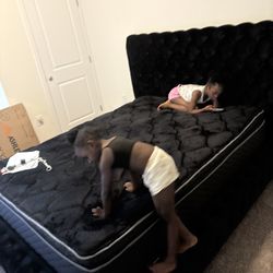 Bed