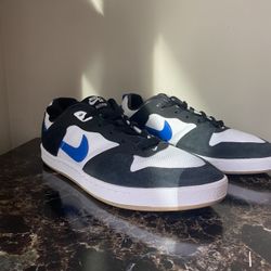 Nike SB Allyoop
