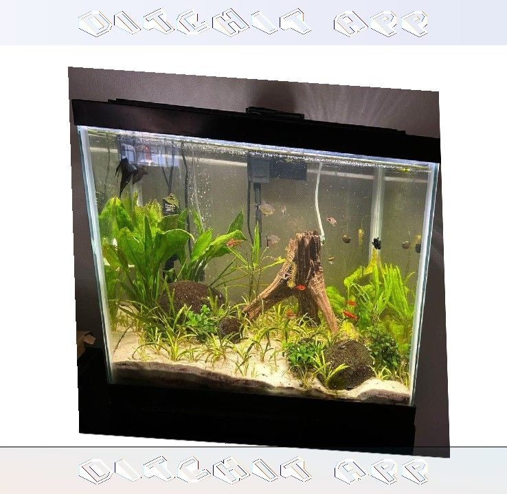 wind production Complete Aquarium System - Jump into Water World Beauty