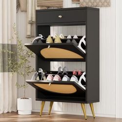 Shoe Cabinet 