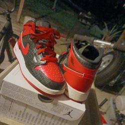 Air JORDAN 1 BREDS