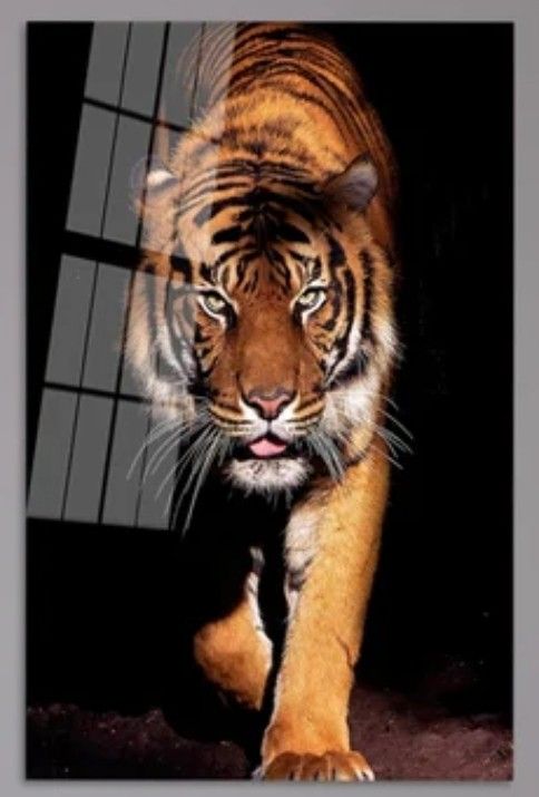 "Tiger's Head" by Abbott Handerson Thayer