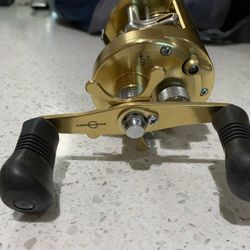 Team Daiwa Fishing Reals Gold 