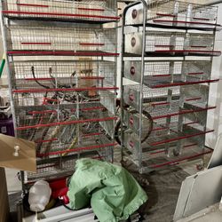 Custom American Made 6 Tier Wynola Ranch Couturnix Quail Cage