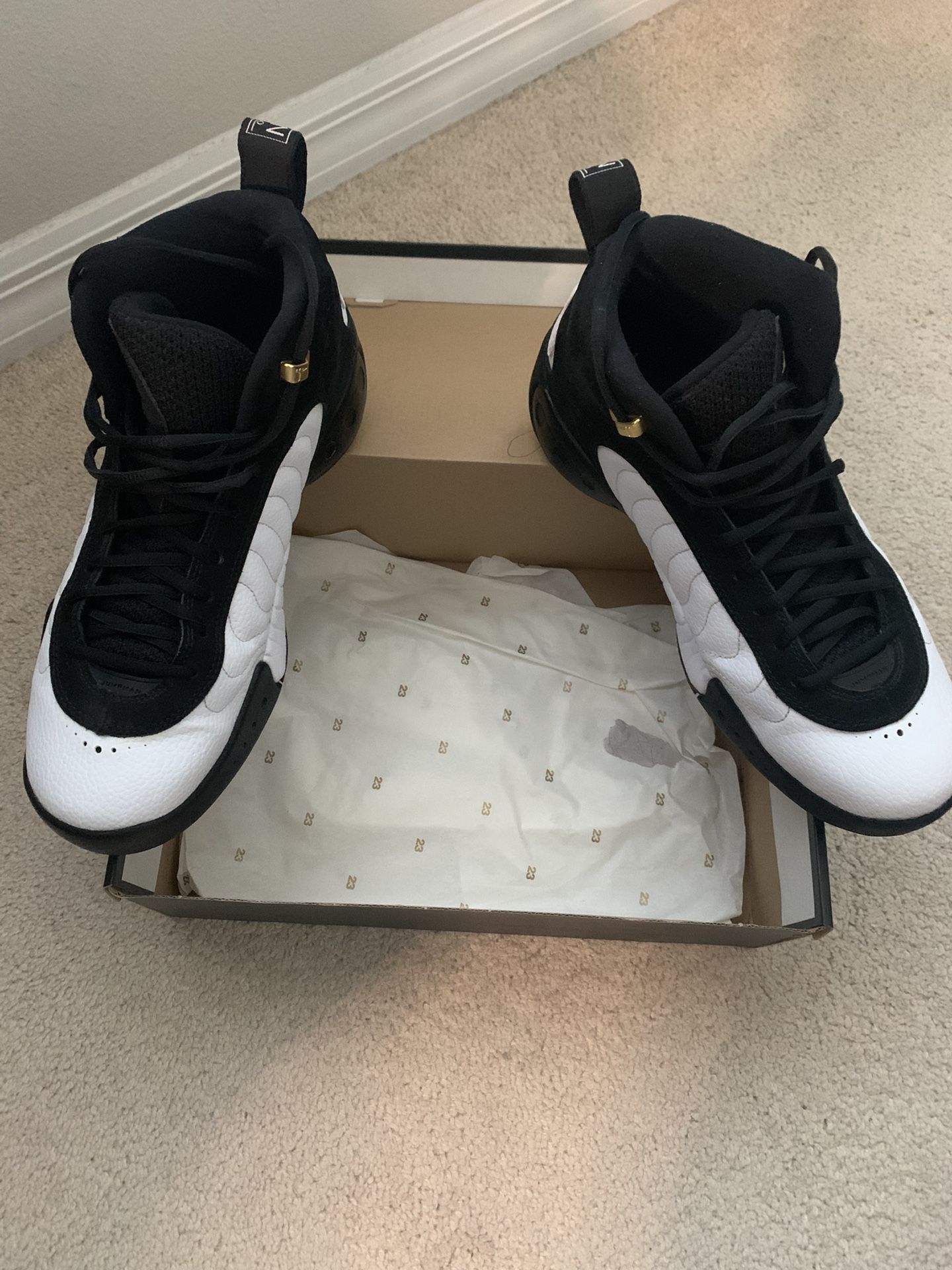 Jordan Jumpman Pro Size11.5