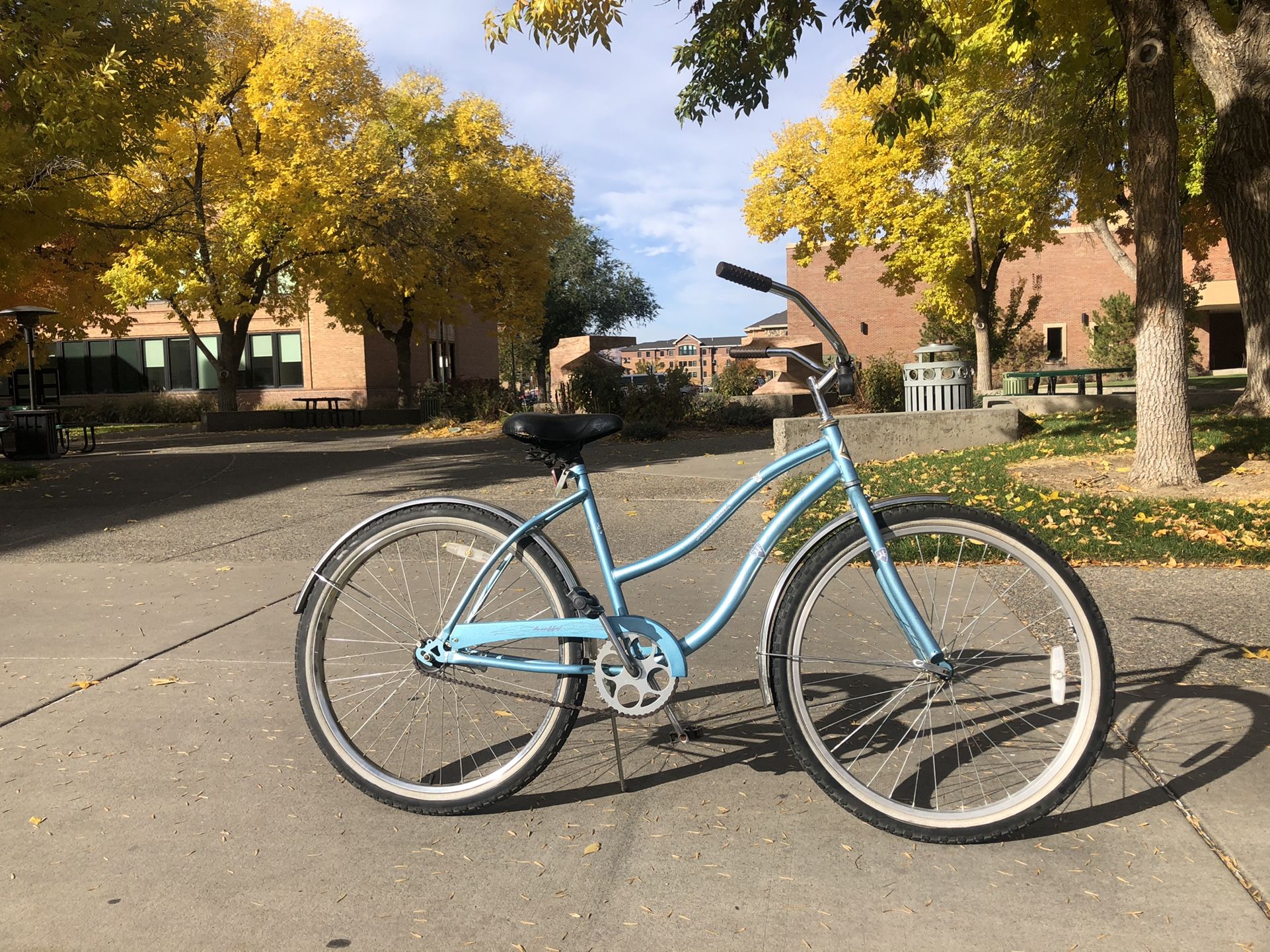 Beach Cruiser Bicycle