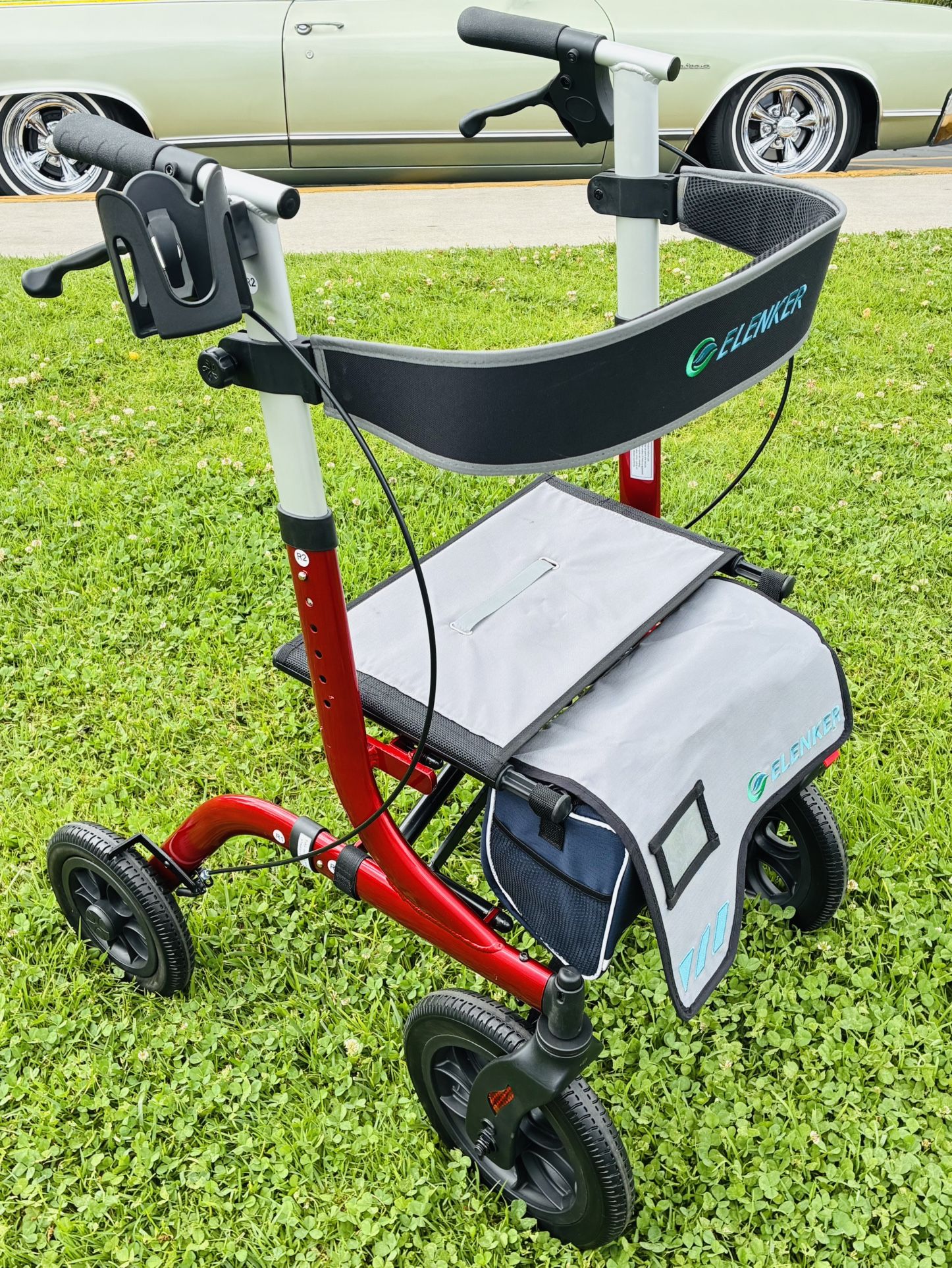 Adult Walker