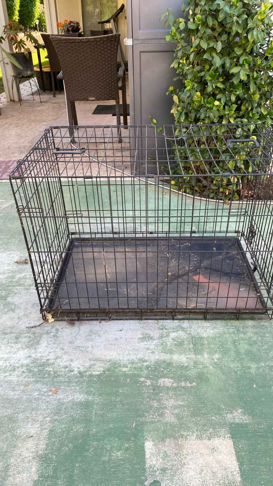 Dog Crate 35d x 22w x 24w