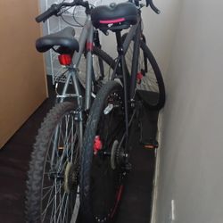 Adult Bicycle 