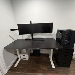 Dual LG Gaming Monitors W/ Free Desk Mount