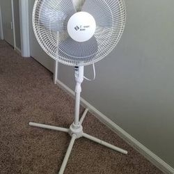 Nice Fan