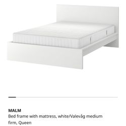 White Wooden Queen Bed Frame 