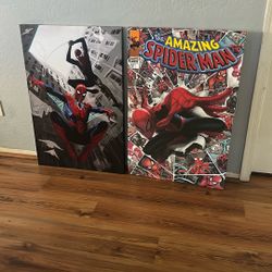 Spideman Canvas 