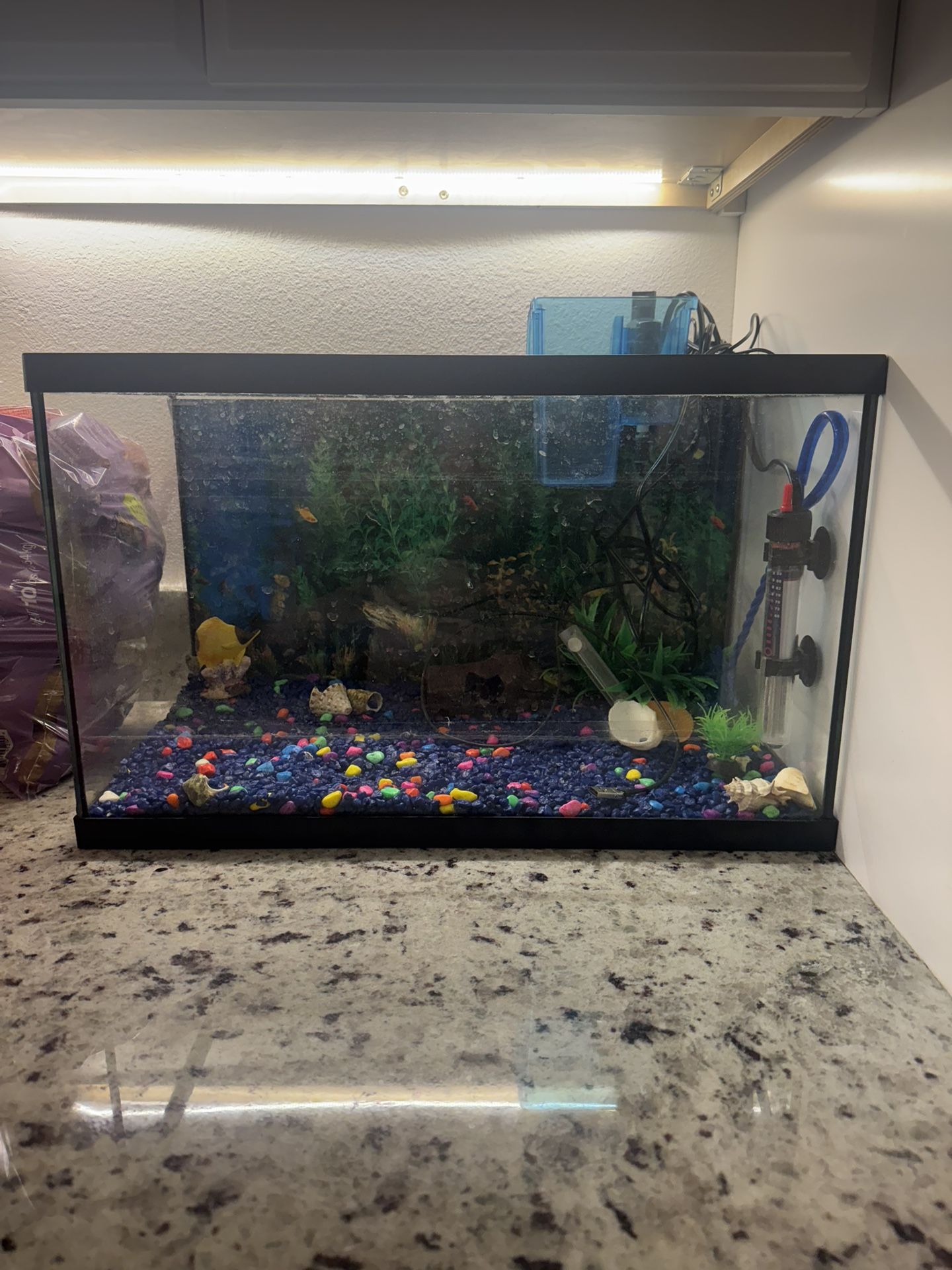 Fish Tank Comes With Everything To Get Started