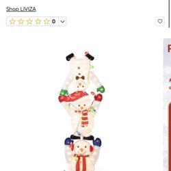 Outdoor/Indoor Christmas Decor 