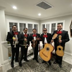 Mariachi Guitar