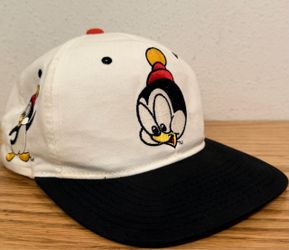 Vintage Chilly Willy Blockhead Toon American Needle Hat 1993
