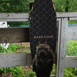 Satellite Skateboard 