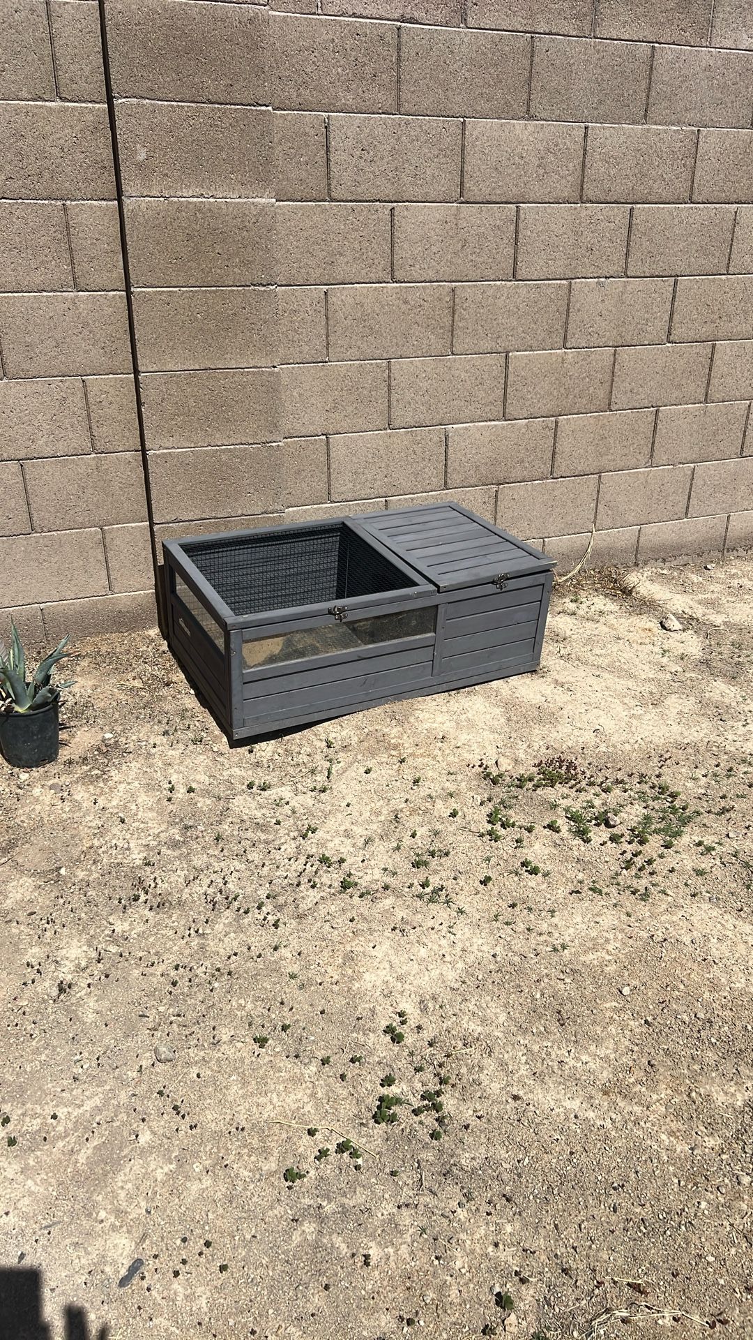 Turtle Cage And Light