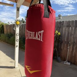 Everlast Heavy Bags and Gloves 