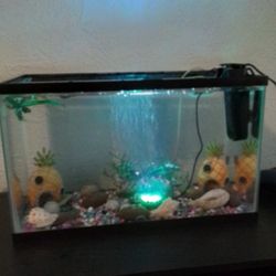 10 Gallon Fish Tank With Extras 