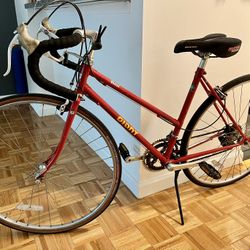 Giant Lady Bike Small