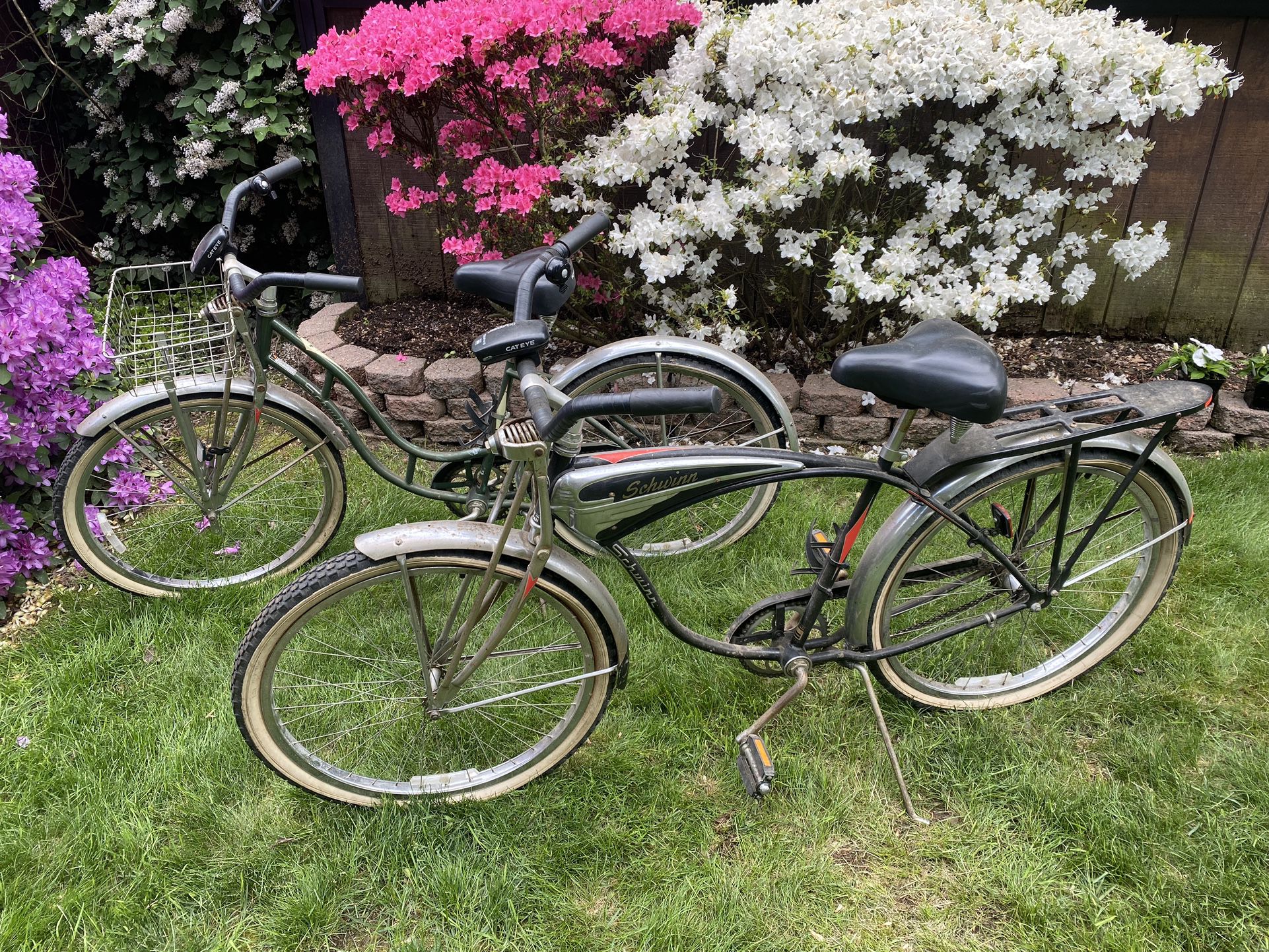 Schwinn Bikes