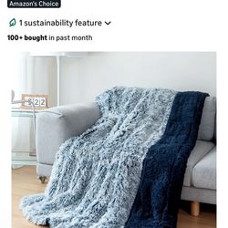 Cottonblue Weighted Blanket Queen Size 15lbs, Sherpa Faux Fur Reversible Luxury Shaggy Long Fur Warm Heavy Blanket 60x80 inches, Warm Plush Sherpa Mic