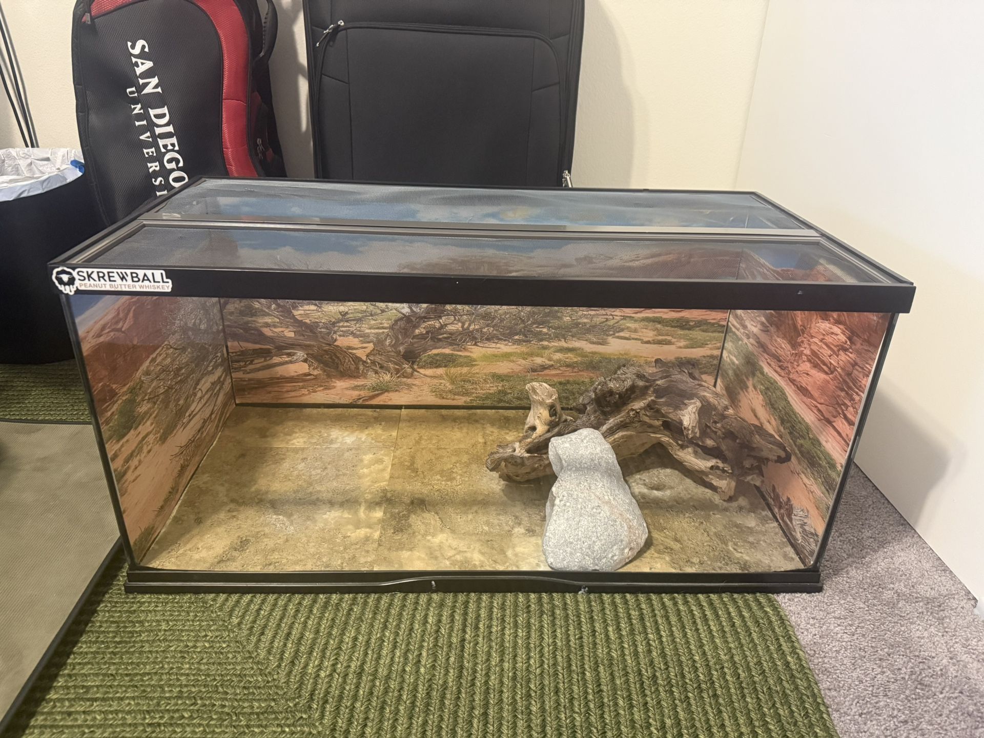 50 Gallon Reptile Tank w/ Background & Vinyl Floor