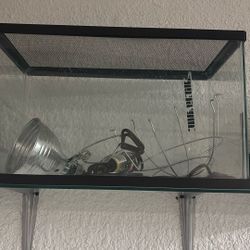 Aquariums 10 Gallon 