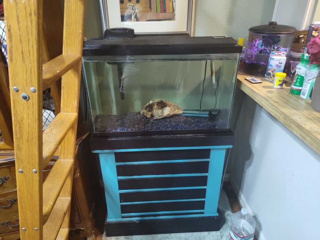 Fish Tank With Sand, Rocks, Stand, Filter And Fish