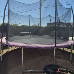 Purple trampoline