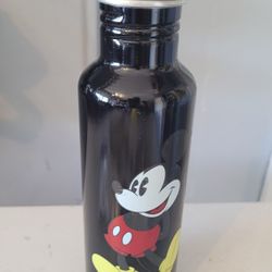 Mickey Waterbottle 