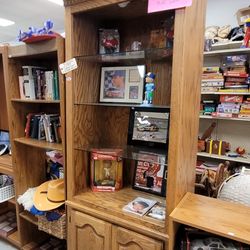Lighted Bookshelf