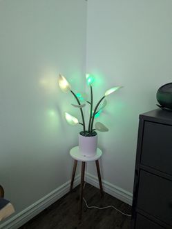 Fluora plant light