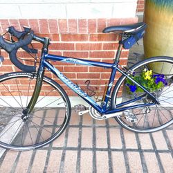 Road Bike - Specialized