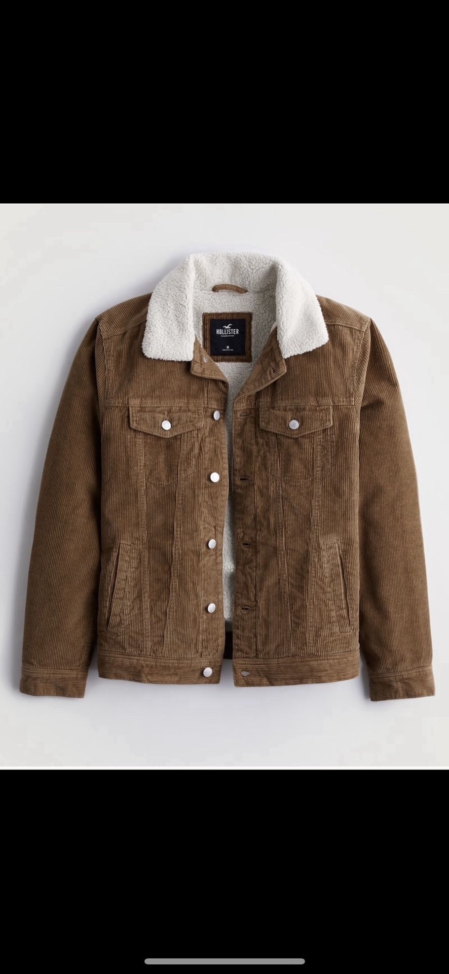 BRAND NEW HOLLISTER SHERPA JACKET FOR MEN SIZE LARGE ONLY ..$60 Dlls …PRICE IS FIRM