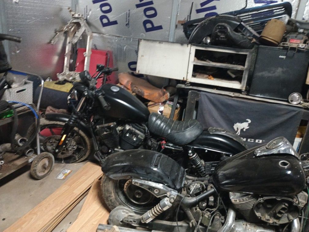2022 Harley Iron sporster