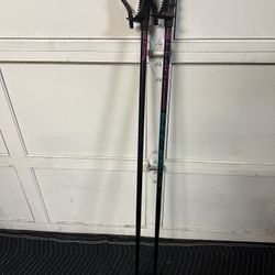  Alsop Shock Absorber snowski poles 48”