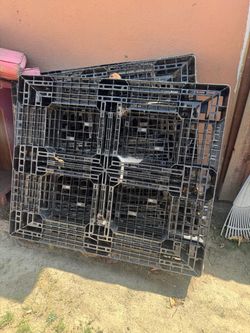 4 Free plastic pallets