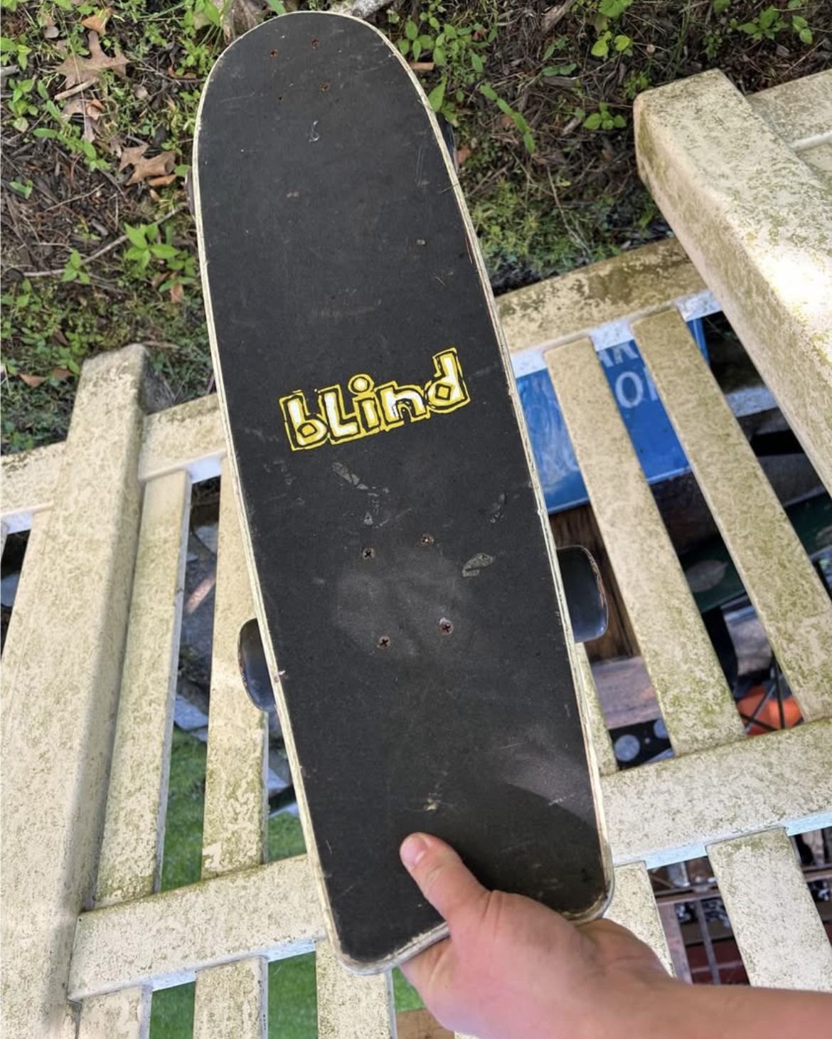 Long Board Skate Board
