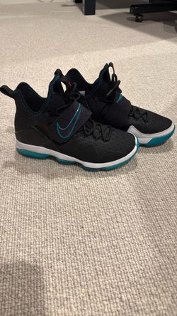 LeBron James Basketball Shoe 9.5 Offer Me