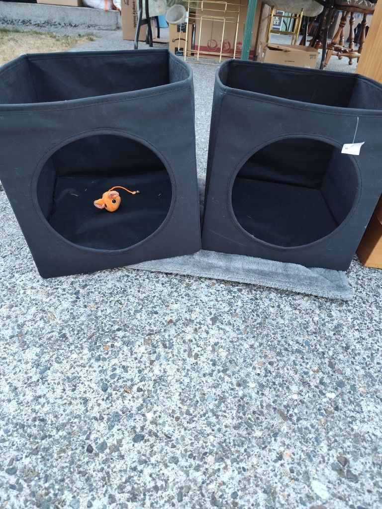 2 Cat Cubes