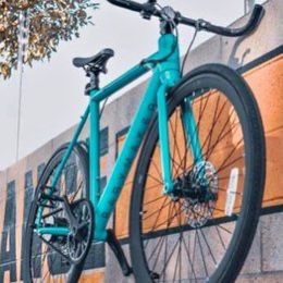 Electric Bike FLX BABYMAKER $600