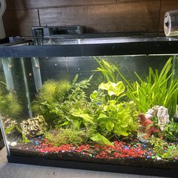 Aquarium Fish-tank  30gallons