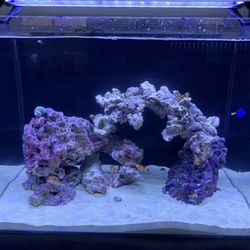 30 Gallon Salt Water Tank With Stand 
